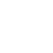 Metamask Icon